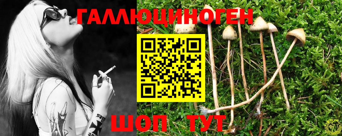 Псилоцибиновые грибы ЛСД Ярцево